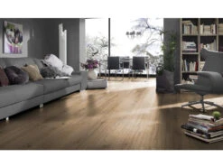 Stratifié Chêne Phalsbourg D3073 Robusto Plancher Au Format De Lames Larges à L'ancienne -Sol Fournitures Boutique 452345 3 AmbienteBYXyp2ZvM2iIr