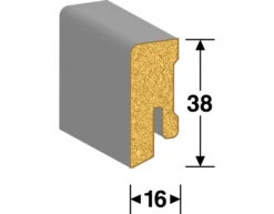 Meister Plinthe Enfichable En Acier Inoxydable Décor Profilé 14 MK -Sol Fournitures Boutique 70380 Fussleiste Profil 14 MK 16x38mm 3D Render566eb95f0a308
