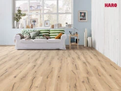 HARO Stratifié Chêne Italica Crème Authentic Tritty 100 Campus Au Format De Lames Larges à L'ancienne -Sol Fournitures Boutique Laminat Campus 4V Eiche italica creme 532060 QV 2014B9Y72hoJdJWsB