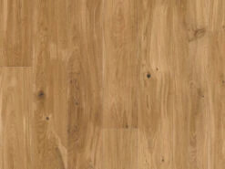 Parquet Rustico Chêne Naturel Intens Au Format De Lames Larges à L'ancienne Rabotées 7 Parquet Rustico Chêne Naturel Intens Au Format De Lames Larges à L'ancienne Rabotées -Sol Fournitures Boutique l4020516 3JOwSVflUtDf8g