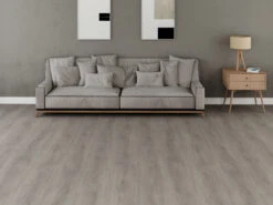 Sol Vinyle Premium Vinyle à Coller Chêne Gris Clair Plancher Maison De Campagne -Sol Fournitures Boutique l4081878 2