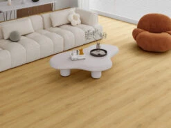 Sol Fournitures Boutique -Sol Fournitures Boutique l4081881 2